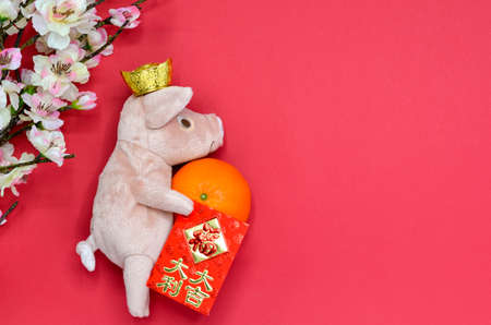 Pig doll with gold ingot(Text means wealth) on head holding money packet(Text means Great fortune, profit & thriving) & Mandarin orange with Chinese plum blossom to celebrate Chinese New Year Festivalの写真素材