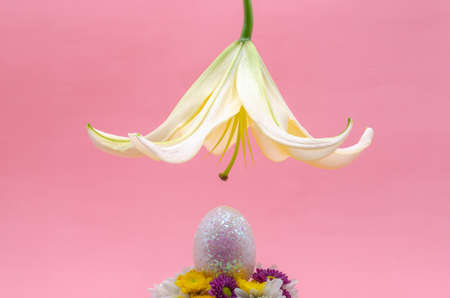 Colorful egg decorates with glitter for Easter day and festival put on colorful chrysanthemum flowers that have lily flower cover on the top with pink background and space for text.の写真素材