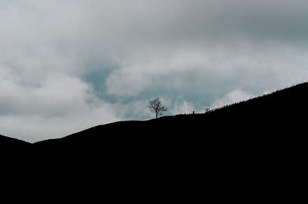 A silhouette of single tree on the top of mountain with clouds and blue sky.の写真素材