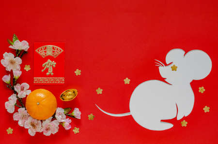 Chinese new year festival decoration on red background that cut in rat shape put on white paper....