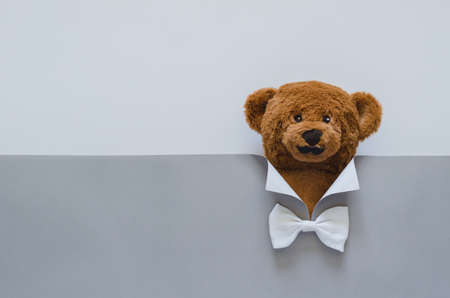 Teddy bear with mustache covers by gray paper making as suit dress that have white collar and bow...