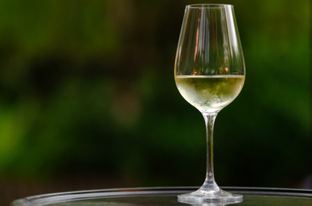 A glass of white wine on table with green background from garden.の写真素材