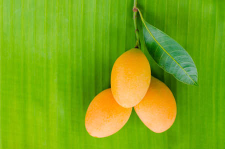 Marian plum or Ma Yong Chid (in Thai language) which looks like plum but taste like mango on banana leaf background.の写真素材