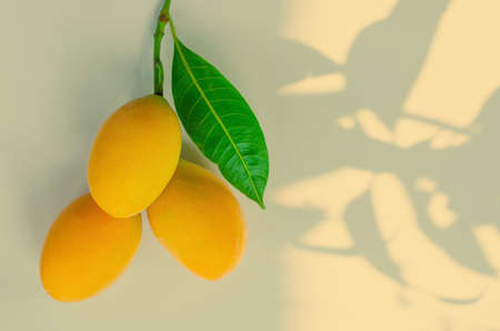 Marian plum or Ma Yong Chid (in Thai language) which looks like plum but taste like mango on yellow...