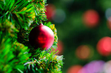 Red bauble hanging on Christmas tree with bokeh background from another bigger Christmas tree.の写真素材