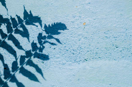 Shadow of the leaves and tree on old blue painted wall for background and texture.の写真素材
