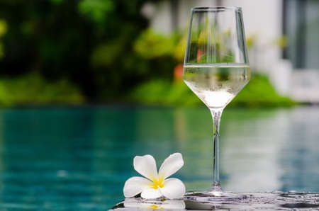 A glass of white wine with frangipani flower put on swimming pool. Holiday and summer drink concept.