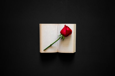 Red rose puts on an old book with empty pages on black cloth background. Valentine's day minimal concept.の写真素材