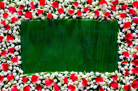 Empty space of wet banana leaf with jasmine and rose petals background for Thailand Songkran festival background.の写真素材