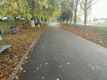 Alley landscape on an autumn dayの素材