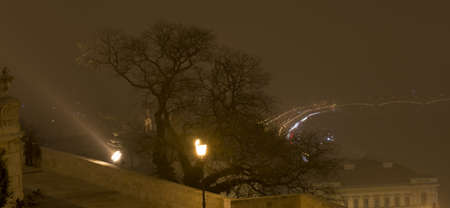 Tree in the Castle of Budapestの写真素材