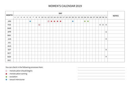 Vector calendar of the women's cycle. Menstrual cycle. Women health and physiology. Vector women calendar template 2019のイラスト素材