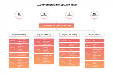 Chart of the nutrients vitamins and minerals food.のイラスト素材