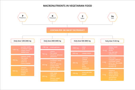 Nutrients in vegetarian food. Scheme of minerals.のイラスト素材