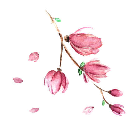 Flower spring brunch.のイラスト素材