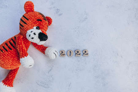 Symbol of the New Year 2022 red tiger, Top view, Copyspaceの写真素材