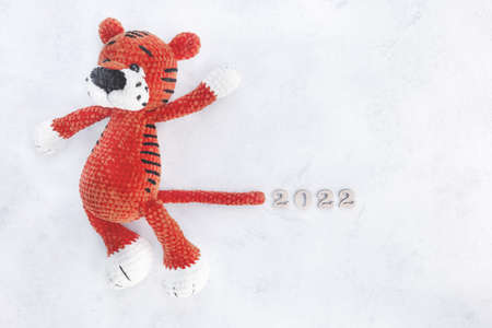 Symbol of the New Year 2022 red tiger, Top view, Copyspaceの写真素材