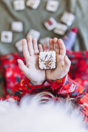 A girl holds Christmas gingerbread in her hands backgraund boche