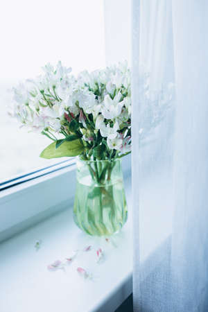 green vase with white ducks on the window sillの写真素材