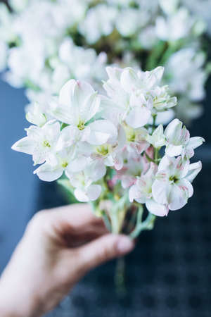 green vase with white ducks on the window sillの写真素材
