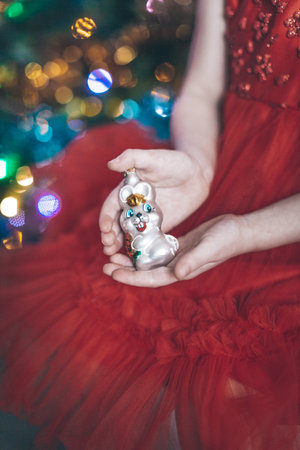Christmas toy on the Christmas bunny in the hands of a girlの写真素材