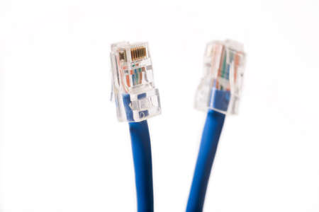Two RJ-45 blue computer cable