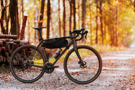Picture of gravel bike standing on forest road in autumnの写真素材