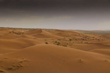 Maranjab Desert in Iranの写真素材