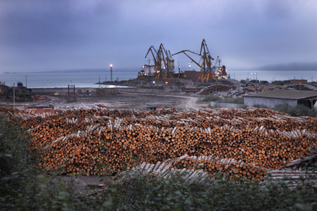 Deforestation ecological problems. Wood preparied for transportation in sea port with cranes. Ecology disaster with trees and woodの写真素材