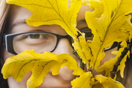 Woman in glasses face behind the autumn yellow leaves. Autumn portrait with oak leaves.の写真素材