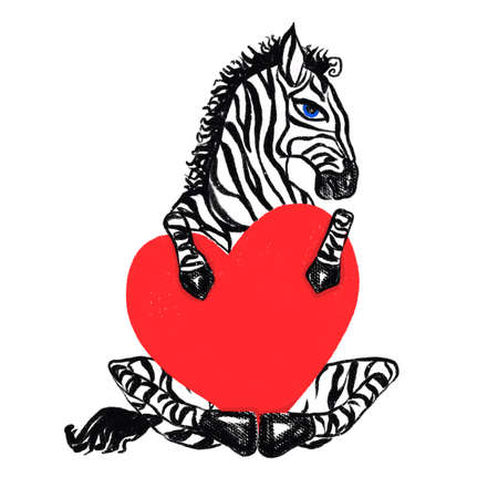 Hand drawi grang graphic animal zebra horse isolated hold red heart. Creative art in white background.の写真素材