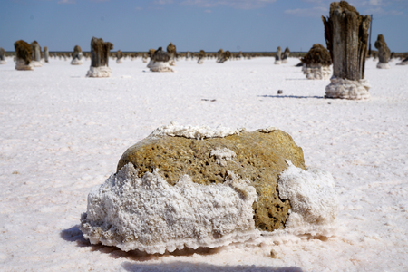 salt lake, salt, Lake Baskunchak in Russia,の写真素材