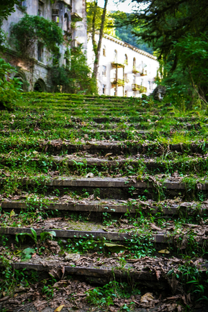 Stairs overgrown with MOSSの写真素材