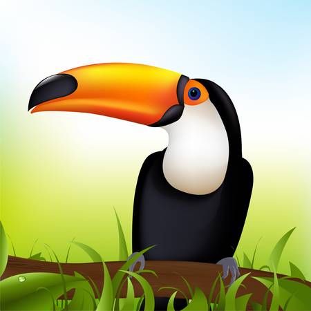 Toucan sitting on a branch under a blue sky のイラスト素材