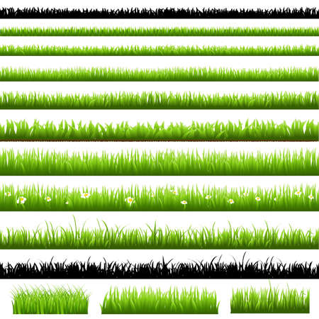 Green Grass Set, Isolated On White Background, Vector Illustrationのイラスト素材