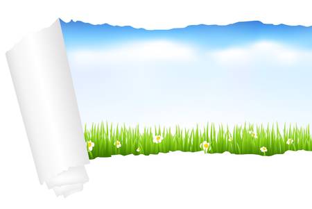Beautiful Green Landscape With Grass, Isolated On White Background, Vector Illustration のイラスト素材