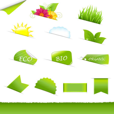 Collection Eco Design Elements, Isolated On White Background, Vector Illustrationのイラスト素材