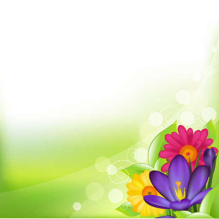 Green Background With Spring Flower, Vector Illustrationのイラスト素材
