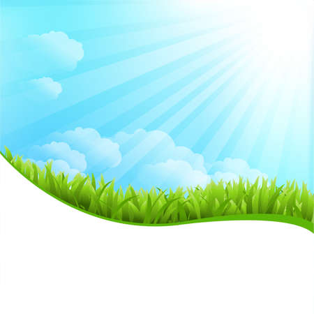 Illustration Of Summer Grassのイラスト素材