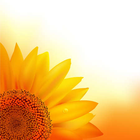 Sunflower.のイラスト素材