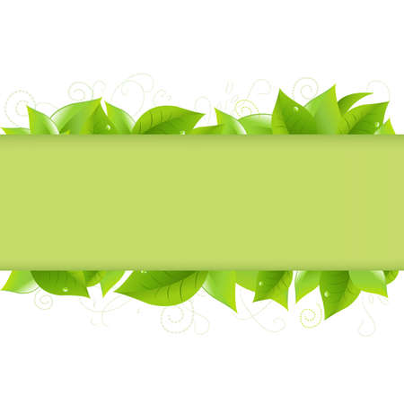 Green Leaves, Isolated On White Backgroundのイラスト素材