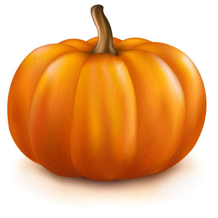 Pumpkin, Isolated On White Backgroundのイラスト素材