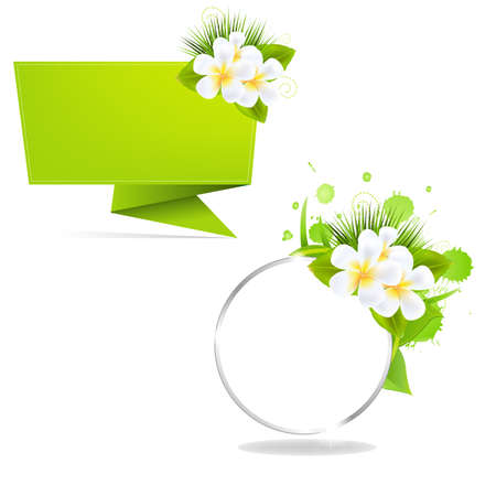 Eco Origami Paper And Frame With Frangipani, Isolated On White Background, Vector Illustration
のイラスト素材