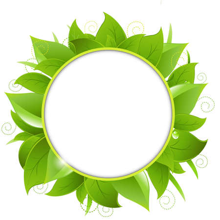 Frame From Green Leaves, Isolated On White Background, Vector Illustrationのイラスト素材