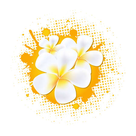 Flower Background With Frangipani, Vector Illustrationのイラスト素材