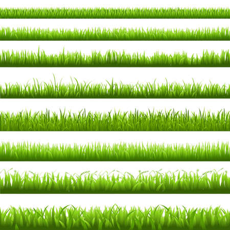 Green Grass Borderi, Vector Illustration
のイラスト素材