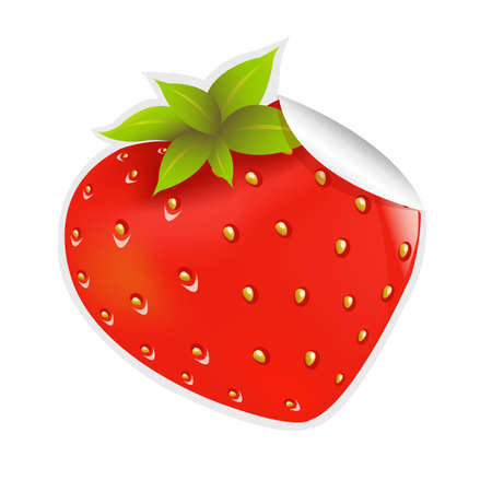 Label Strawberry, Vector Backgroundのイラスト素材