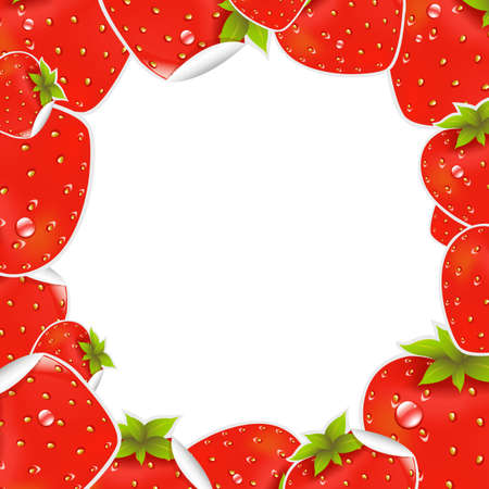 Label Strawberry Frame, Vector Illustrationのイラスト素材