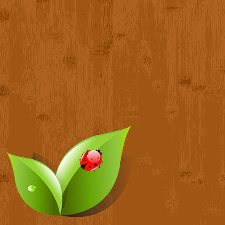 Wood Background With Leaves And Ladybug, Vector Illustrationのイラスト素材