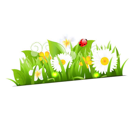 Bunch Of Flowers With Grass And Ladybugのイラスト素材